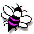 [Beckett's Ridge Buzz]